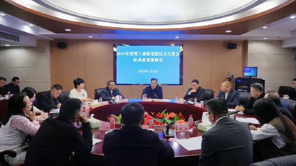2024年度省工商联党组民主生活会征求意见座谈会召开  ——湖南省川渝商会党支部书记邓